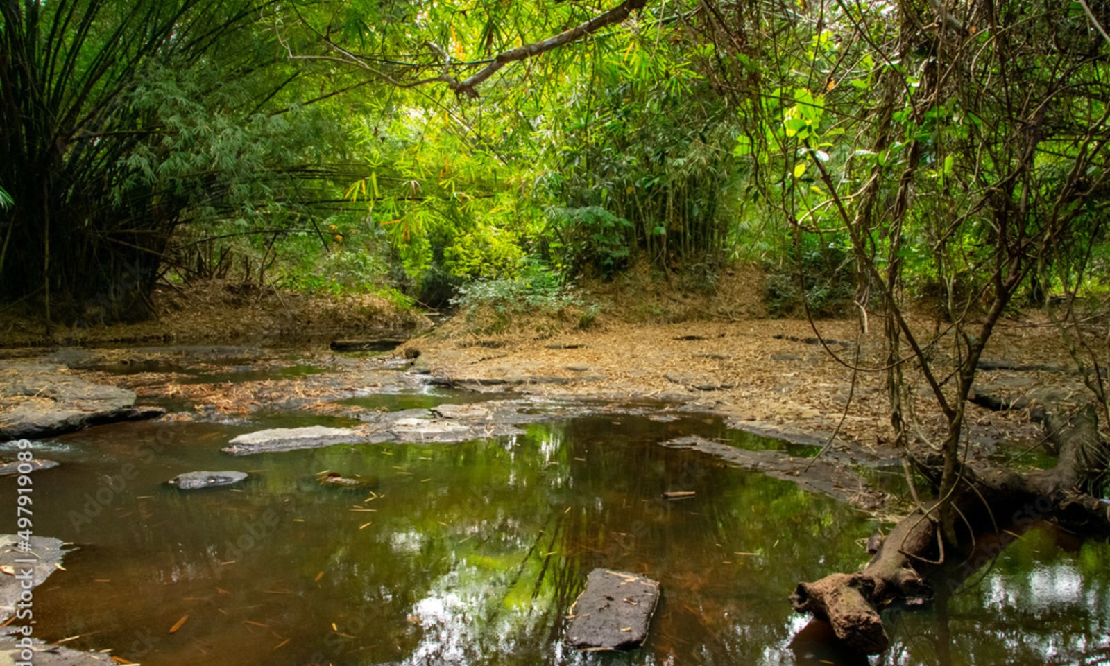 Assin Manso Ancestral Slave River Park