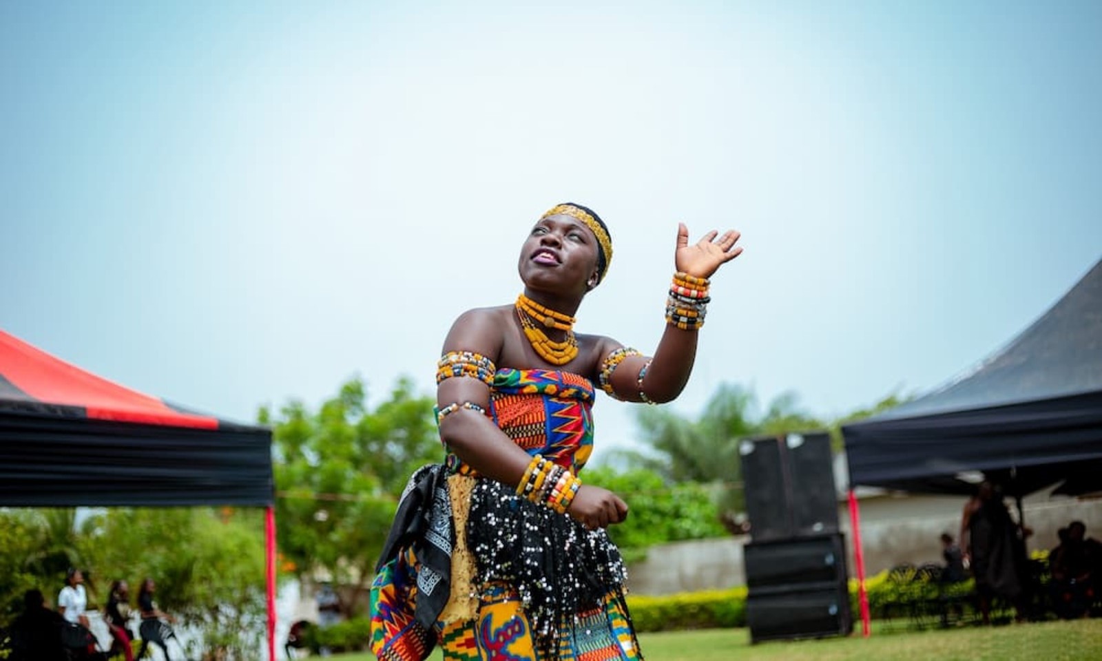 Traditional Culture Performance